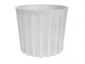 731